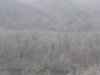 Winter Overlooking the Potomac